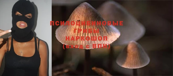 гашик Магас