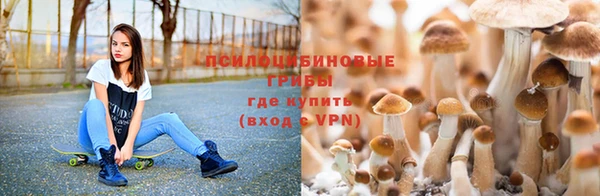 эйфоретик Магадан