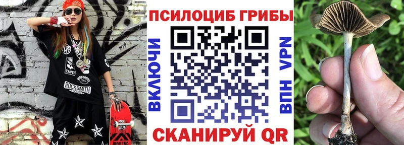 shop официальный сайт  где найти наркотики  Иноземцево  Галлюциногенные грибы ЛСД 