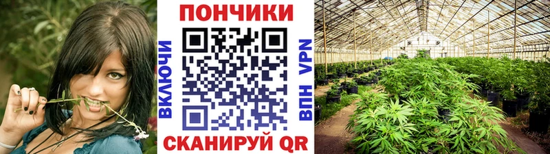 Шишки марихуана гибрид  как найти закладки  Иноземцево 
